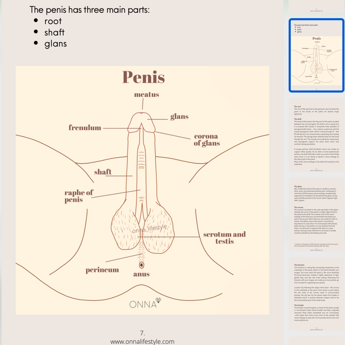 oral sex guide
