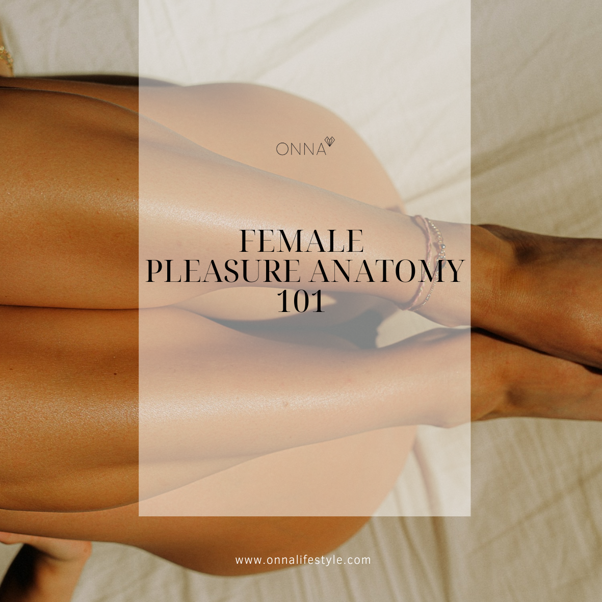 learn female pleasure anatomy 101