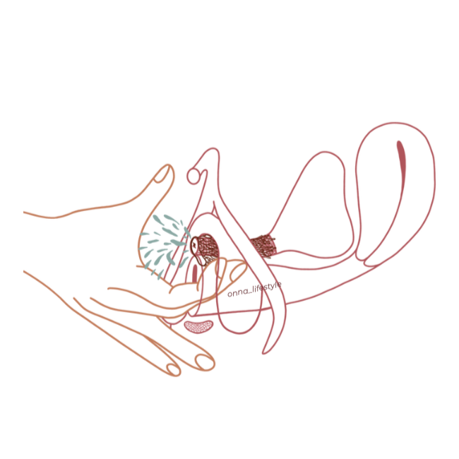 illustration of the come hither gspot stimulation 